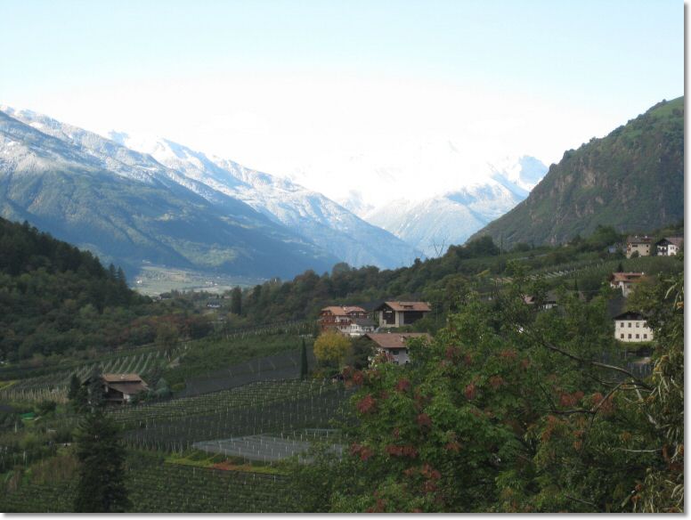 Algund2 (8).jpg